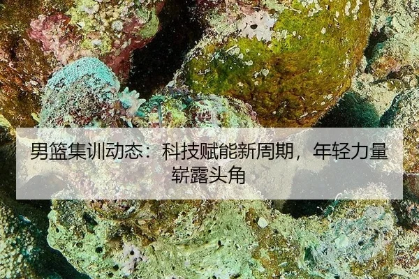 nan-lan-ji-xun-dong-tai-ke-ji-fu-neng-xin-zhou-qi-nian-qing-li-liang-zhan-lu-tou-jiao-2-358.jpg